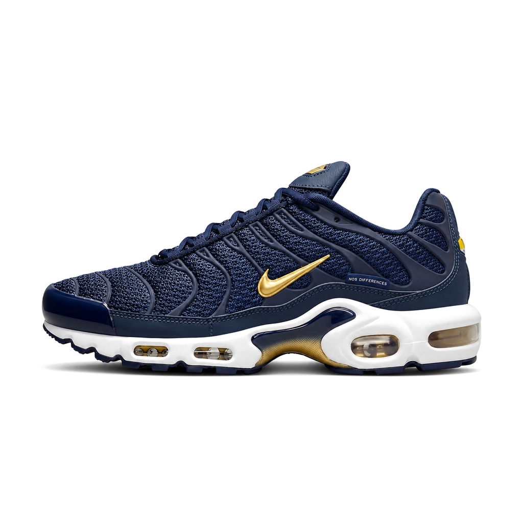 Nike Air Max Plus (French Football Federation) - slika 1