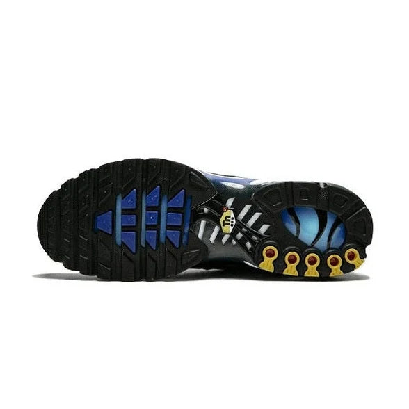 Nike Air Max TN "The Shark France"